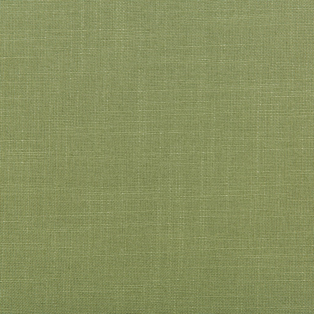 Wasabi