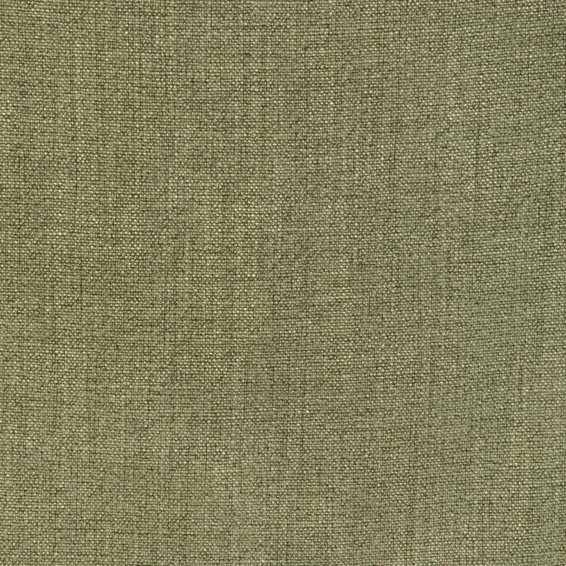 Lemongrass